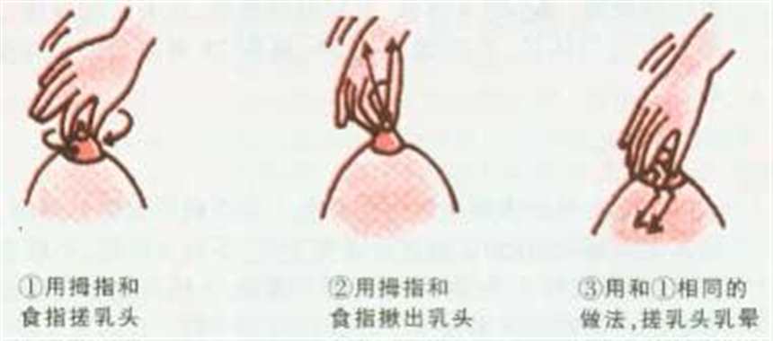 怀孕的人乳头变化图片(3)(点击浏览下一张趣图)