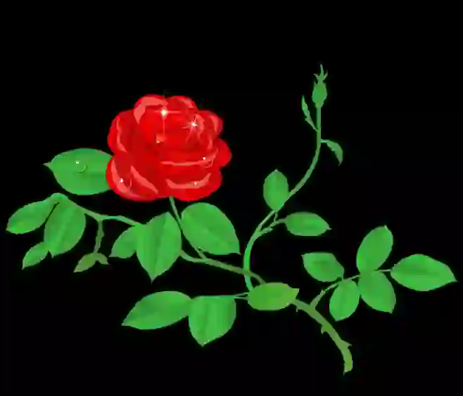 玫瑰花gif动态图(点击浏览下一张趣图)