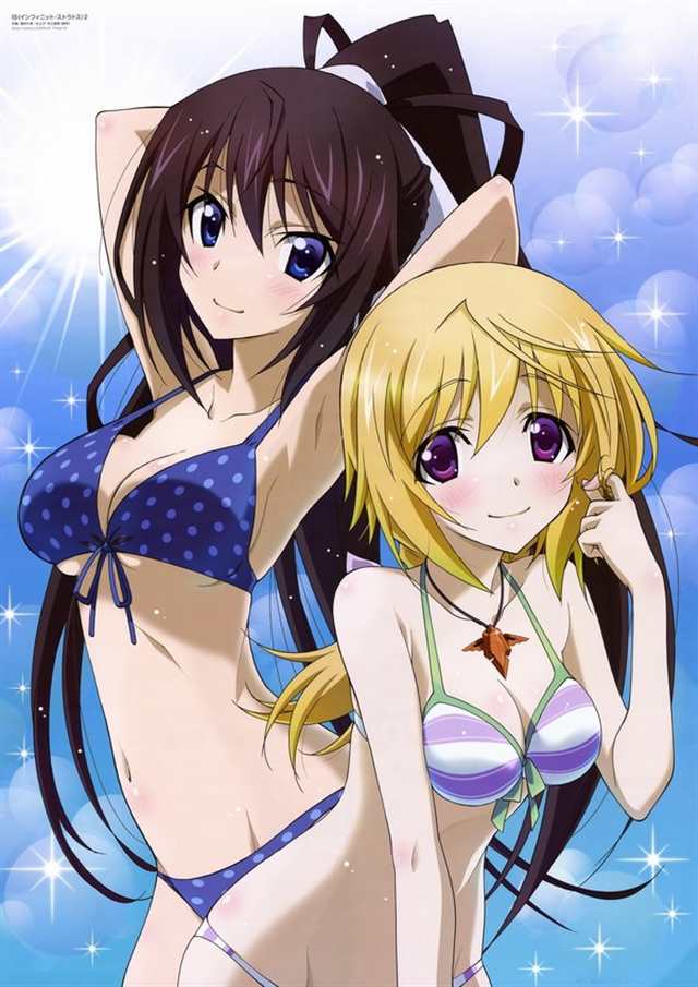 is world purge篇(infinite stratos world purge)(点击浏览下一张趣图)