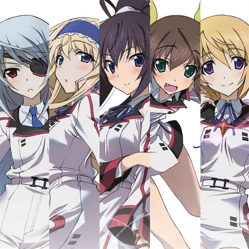 《infinite stratos》 wave lingerie style 精品(点击浏览下一张趣图)