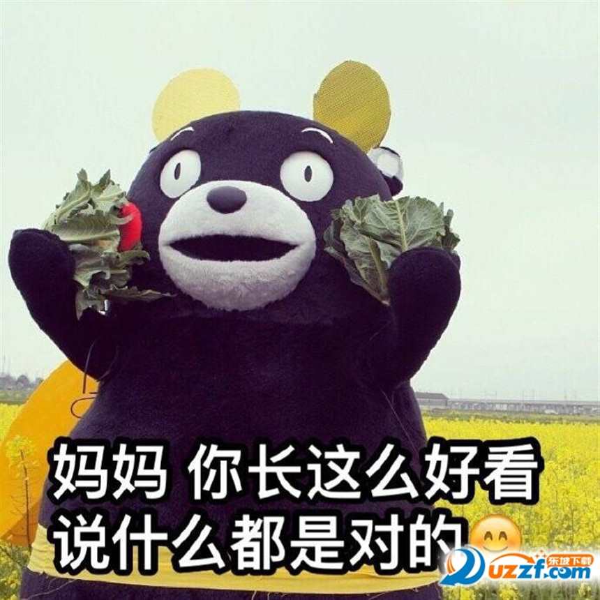 熊本熊母亲节祝福语表情(点击浏览下一张趣图)