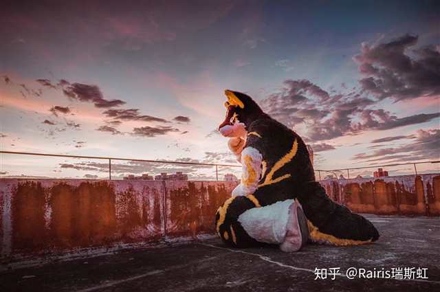 Furry群体的活跃交流平台有哪些？