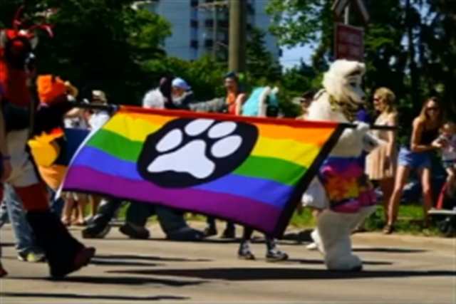 你是否听说过这样一个群体——“Furry”?