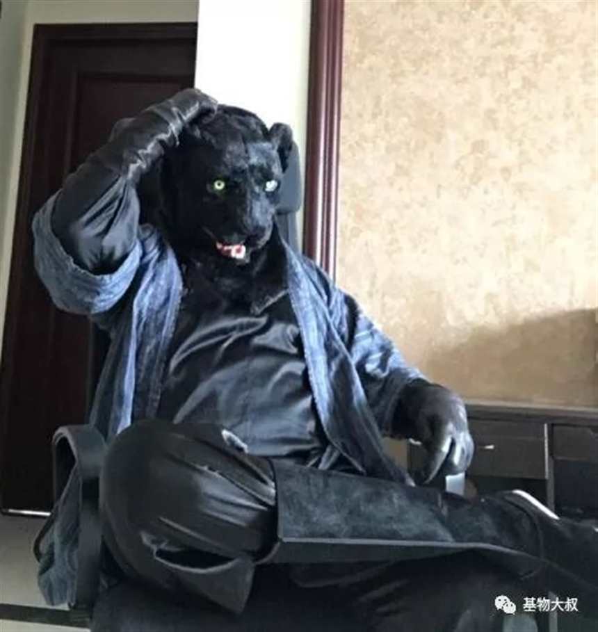 furry文化在国外是否很受欢迎？