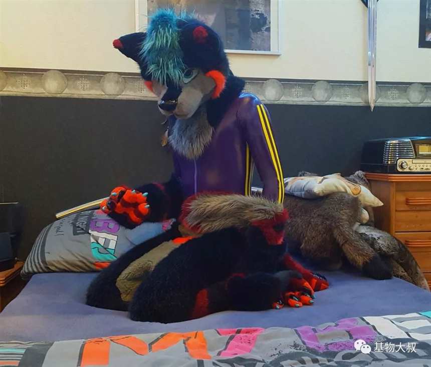 furry文化在国外是否很受欢迎？