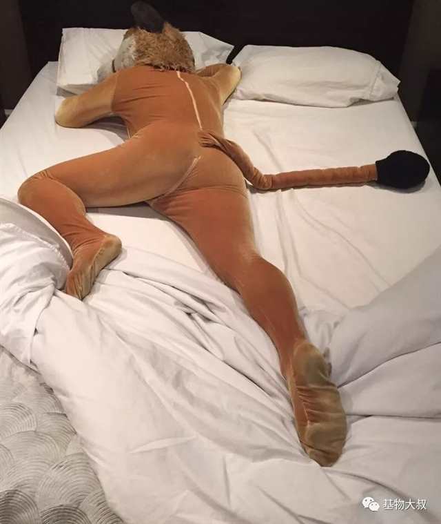 兽装常伴有性幻想或恋物现象