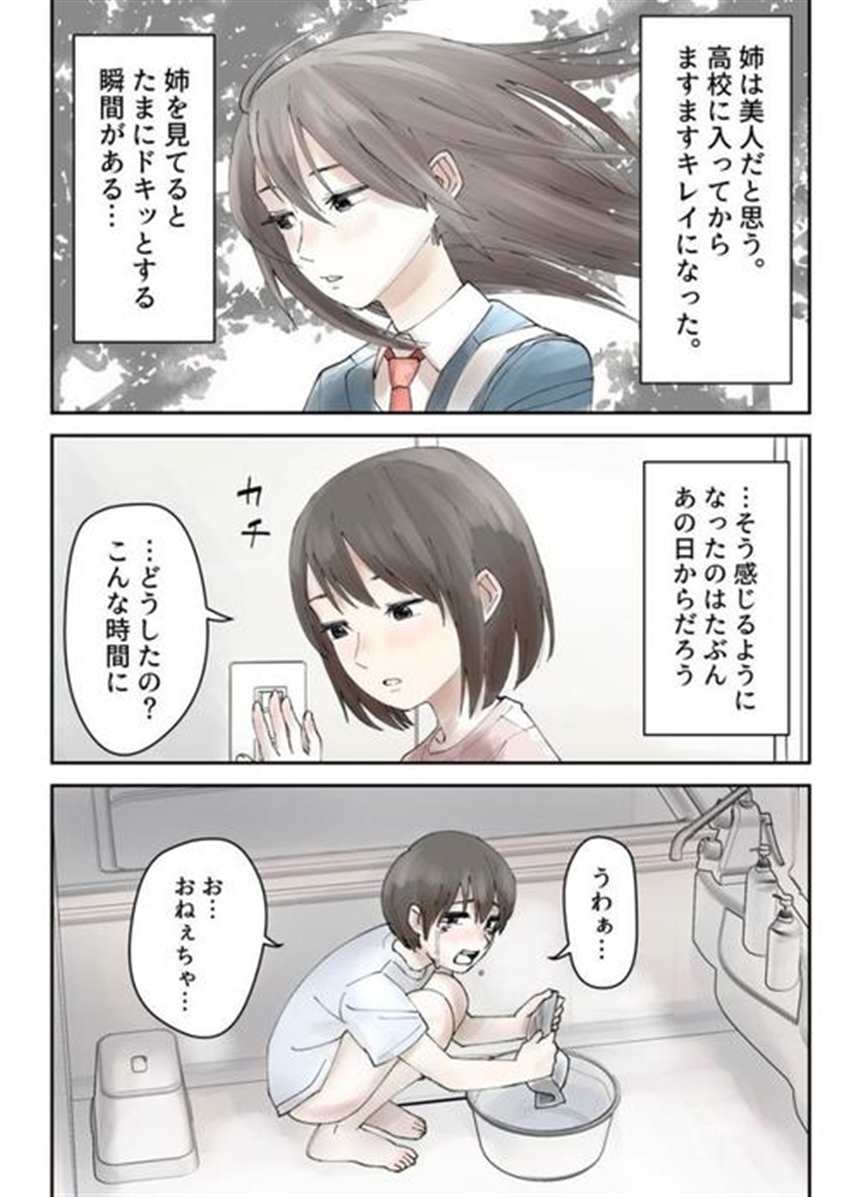 【エロ漫画】大好きな姉がクズな不良男と付き合いショックを受ける弟(点击浏览下一张趣图)