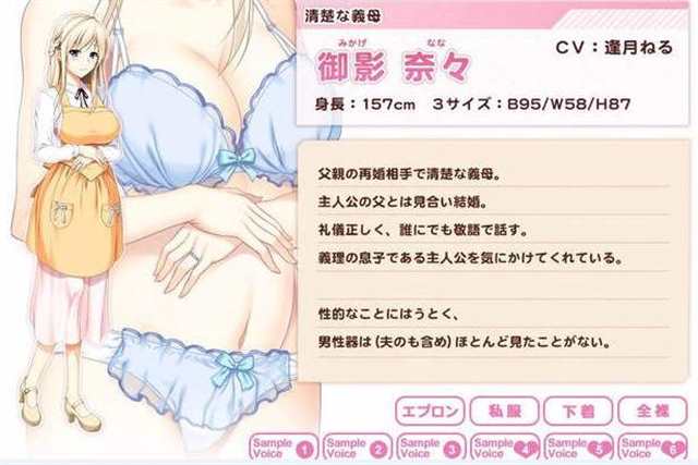 岛国黄油游戏：请自备手纸