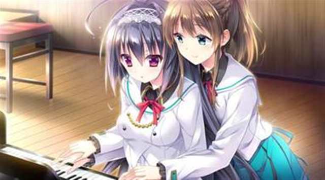 岛国黄油游戏：请自备手纸