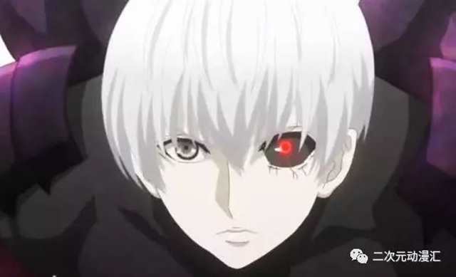 《东京食尸鬼第四季》泉姐是真的对金木好