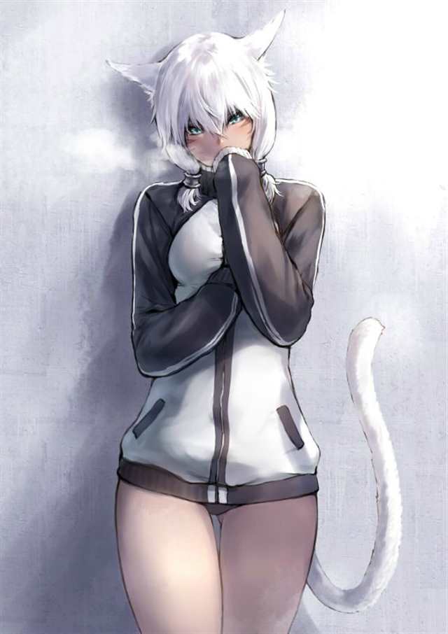 性感猫女,可爱猫娘还有猫咪面包车(点击浏览下一张趣图)