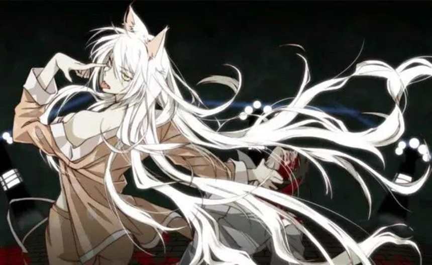 在二次元中，最适合你的猫娘妹子到底是谁呢？