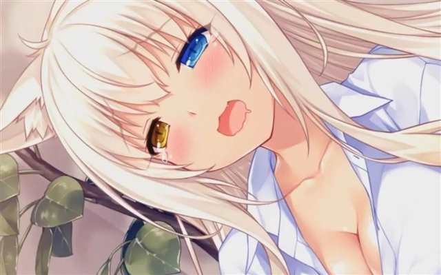 各种各样的猫娘角色中你最喜欢哪一个呢?