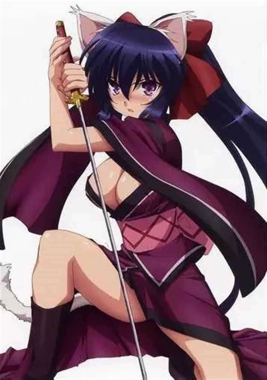 萌萌哒的猫耳娘，小心被榨干哦！