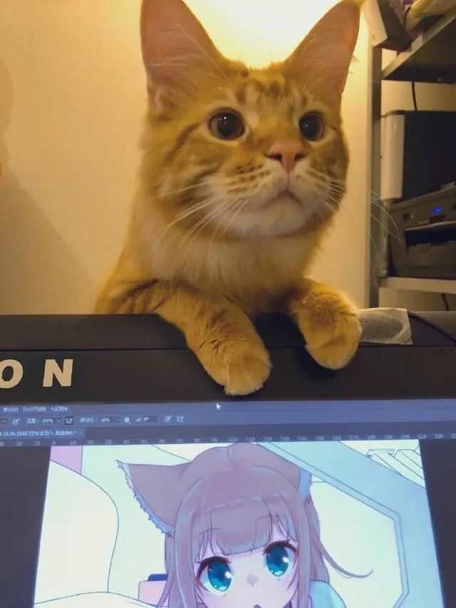 画师40原绘制出来的“猫咪萌娘”再次火热起来