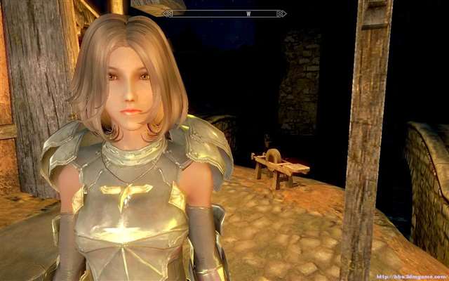 上古卷轴5最美御姐捏脸