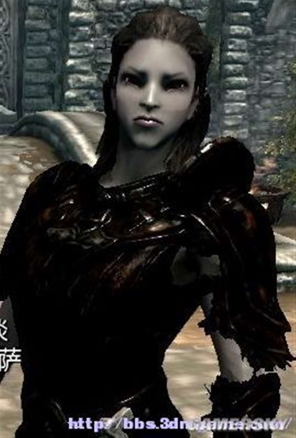 上古卷轴5女性与商人结婚 