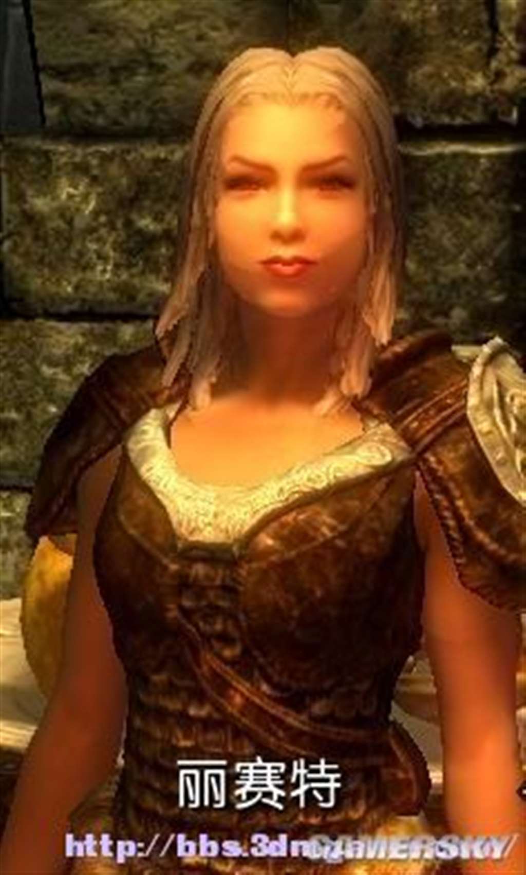 上古卷轴5女性与商人结婚 