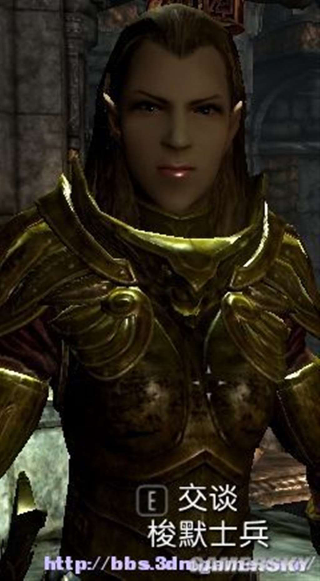 上古卷轴5女性与商人结婚 