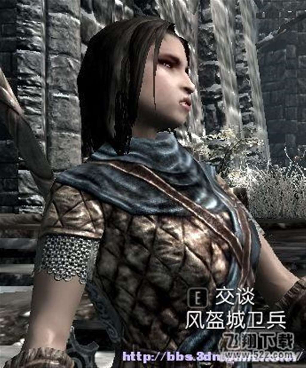 上古卷轴5女性与商人结婚 