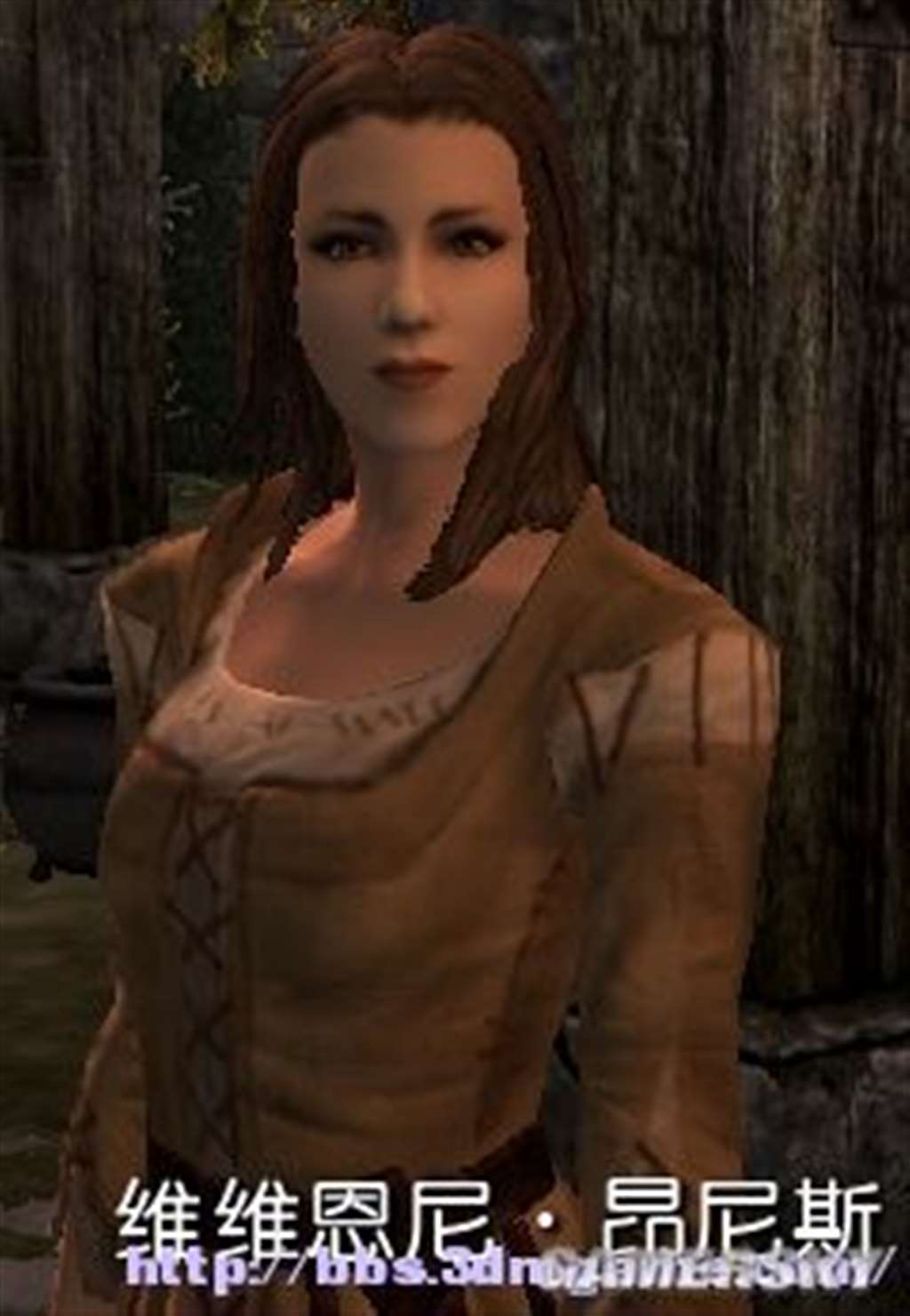 上古卷轴5女性与商人结婚 