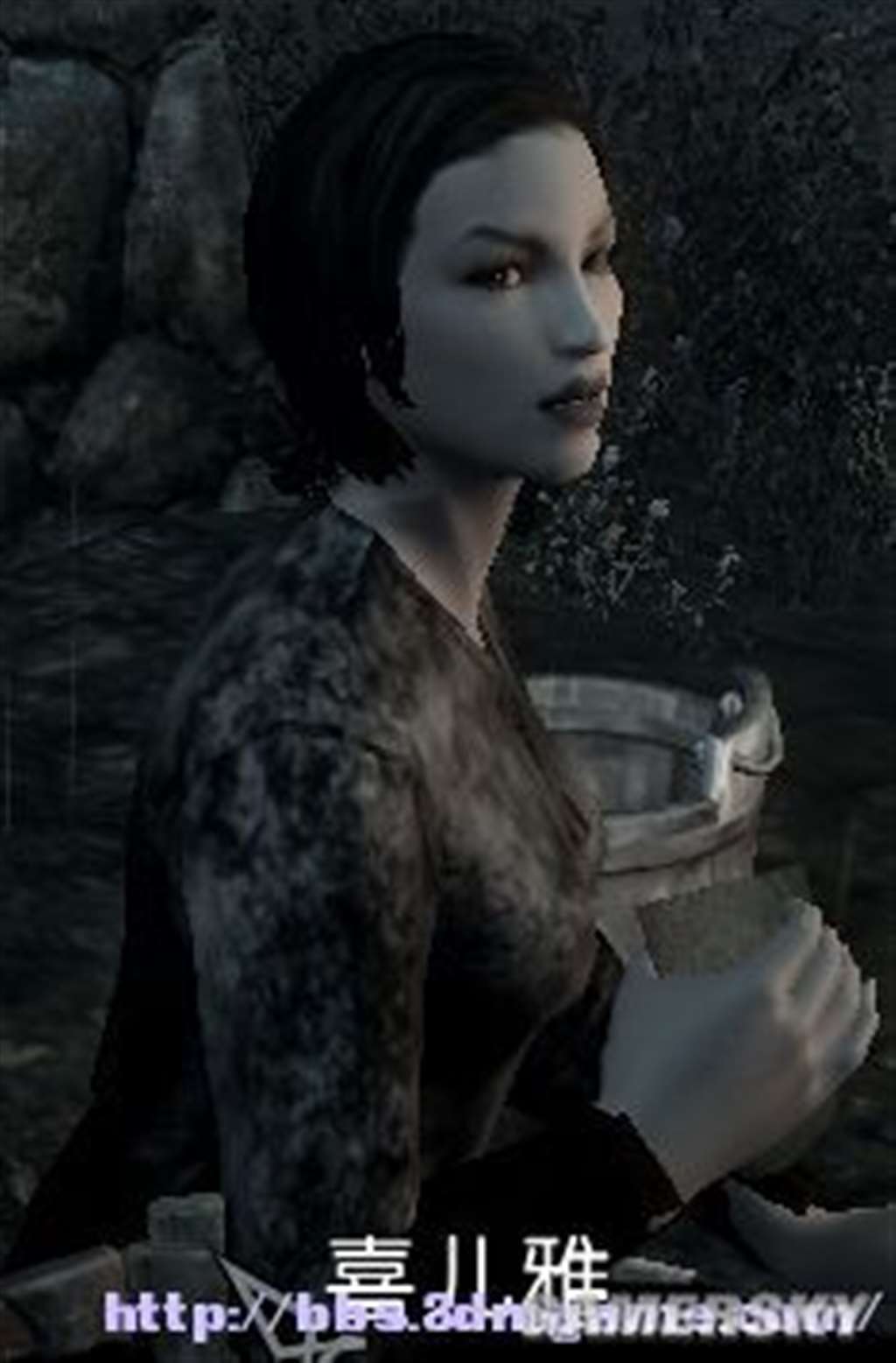 上古卷轴5女性与商人结婚 