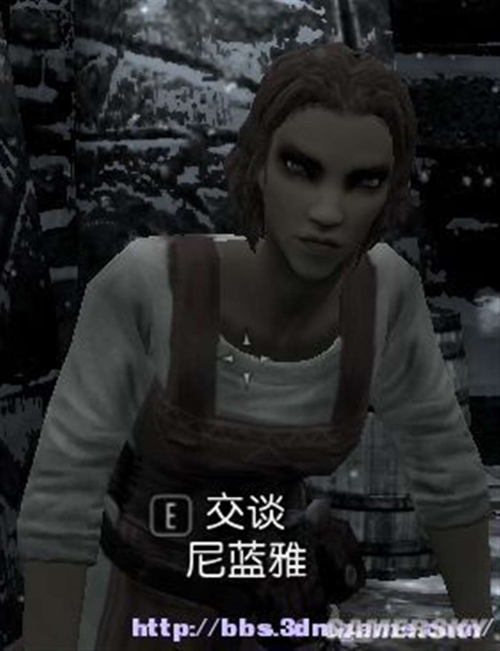 上古卷轴5女性与商人结婚 