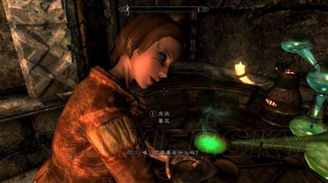 上古卷轴5原版第一美女 原版NPC美女