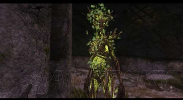 上古卷轴5原版第一美女 原版NPC美女