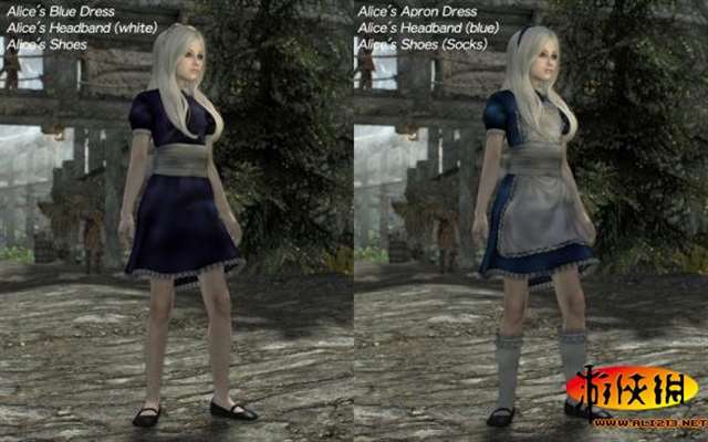 上古卷轴5爱丽丝套装mod 安装方法