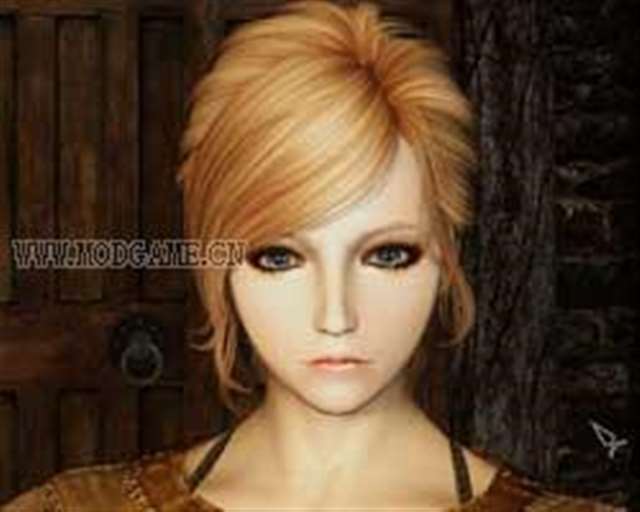 《上古卷轴5》妹子捏脸合集 存档