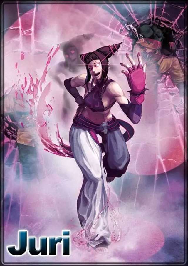  韩蛛俐，格斗游戏《街头霸王》中的角色