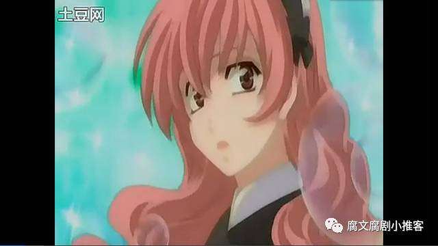 腐剧女装类型的动漫《公主公主》