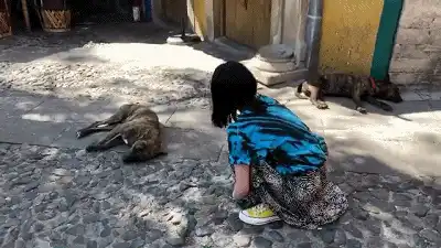 永野芽郁写真限定《No cambia》