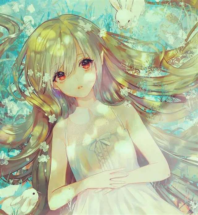 次元宅 每日美图