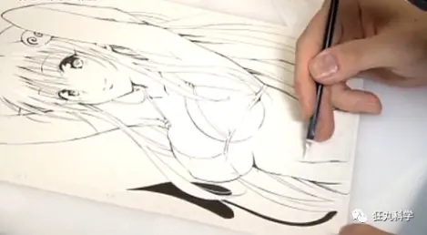 二次元才是真爱 一只企鹅，它活了21岁