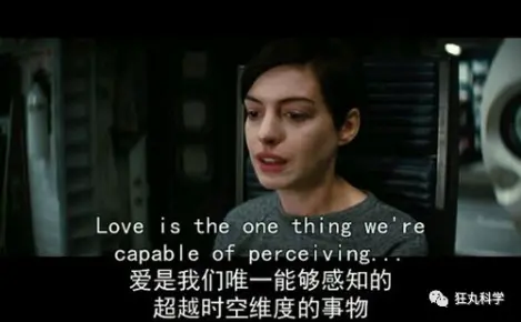 二次元才是真爱 一只企鹅，它活了21岁