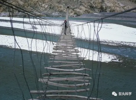 二次元才是真爱 一只企鹅，它活了21岁