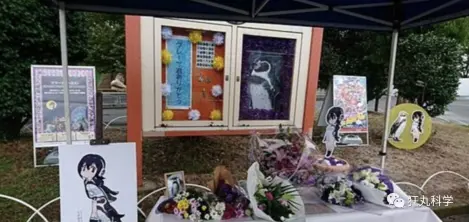 二次元才是真爱 一只企鹅，它活了21岁