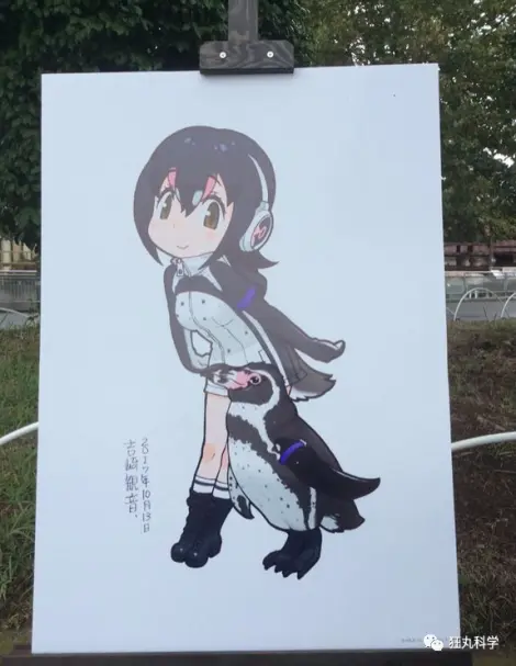 二次元才是真爱 一只企鹅，它活了21岁
