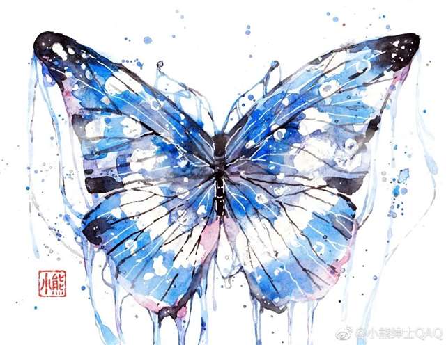 以专业角度，理性分析小熊绅士的“黑料”