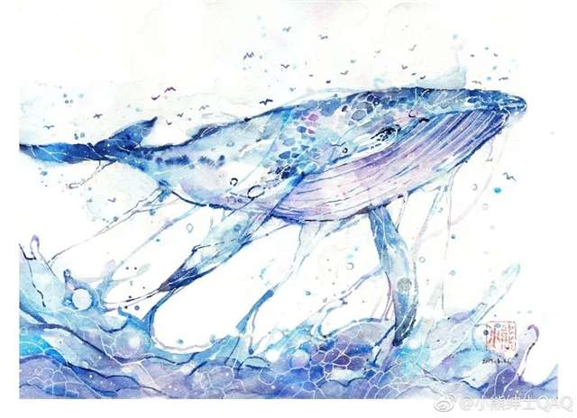 以专业角度，理性分析小熊绅士的“黑料”