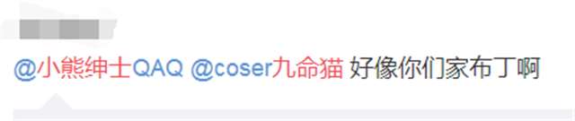 以专业角度，理性分析小熊绅士的“黑料”