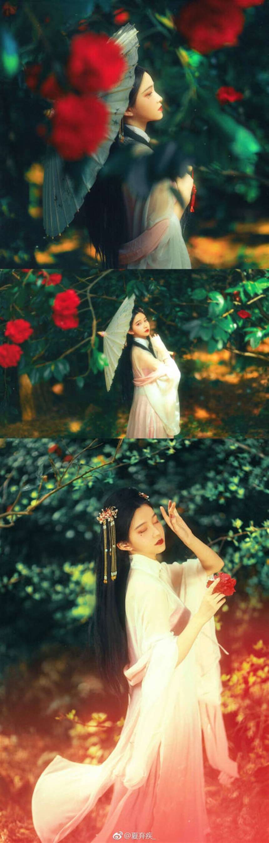 狐狸小妖汉服还有别的照片【1v259mb】