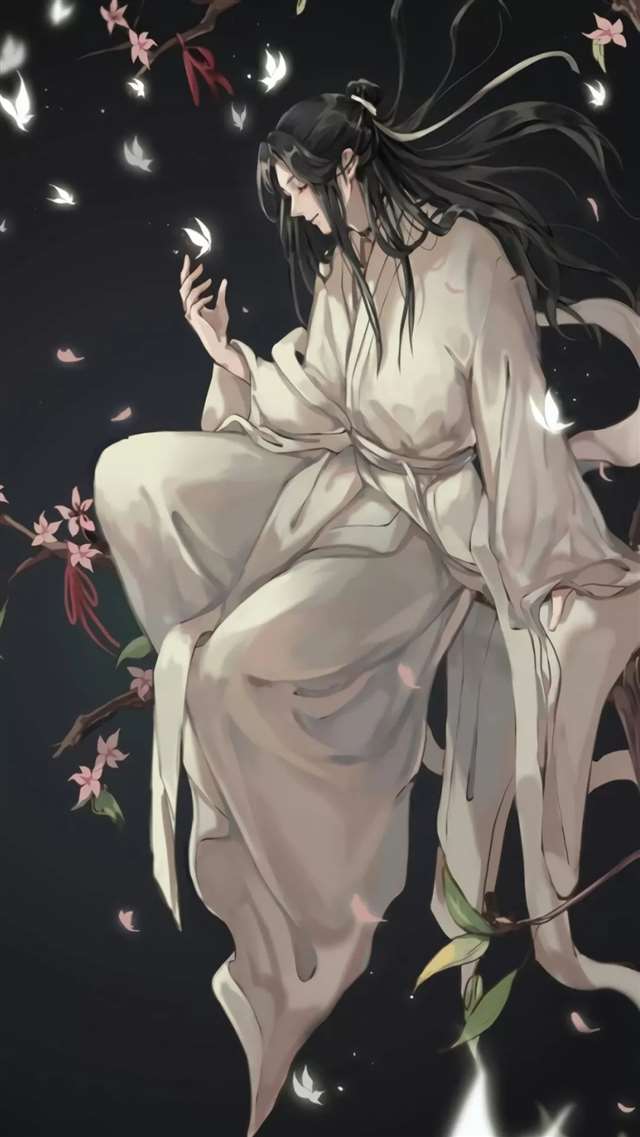 蓝忘机 魏无羡动漫壁纸