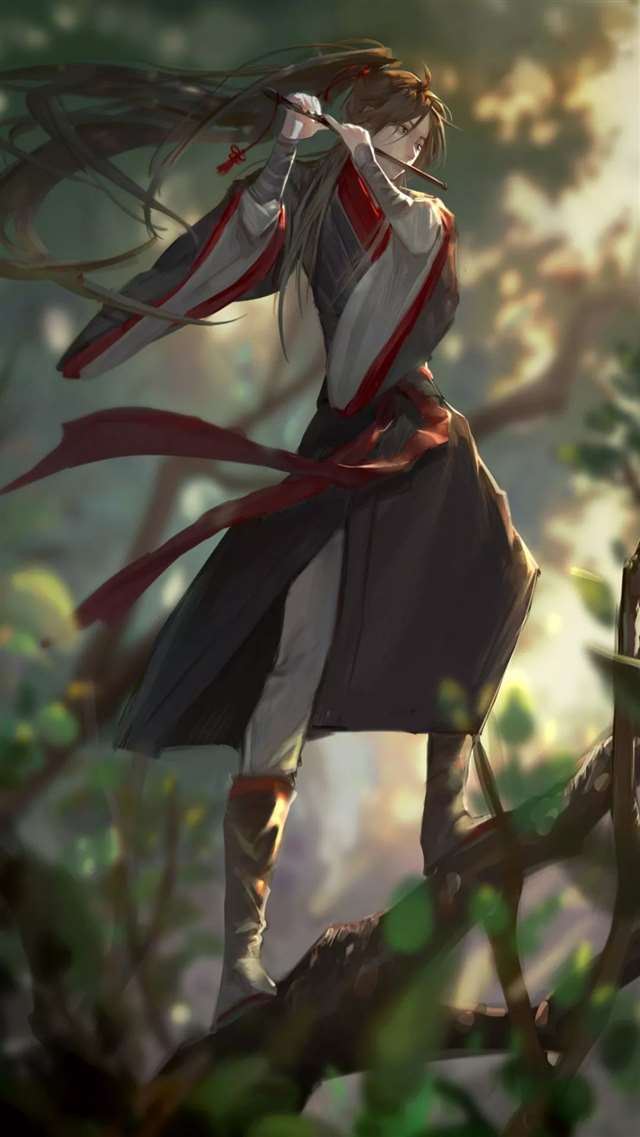 蓝忘机 魏无羡动漫壁纸