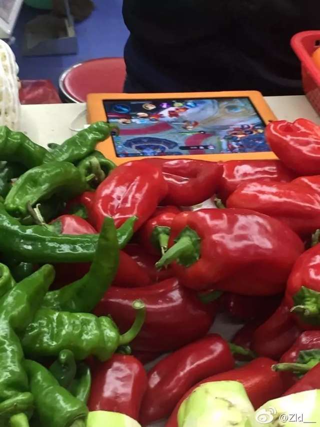 狐白和狐妲己,大家都是青丘九尾狐一族，一定要互相照顾啊