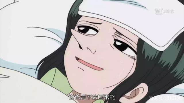 海贼王官方承认的那些cp爱情故事