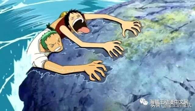 海贼王路飞真正的喜欢的人