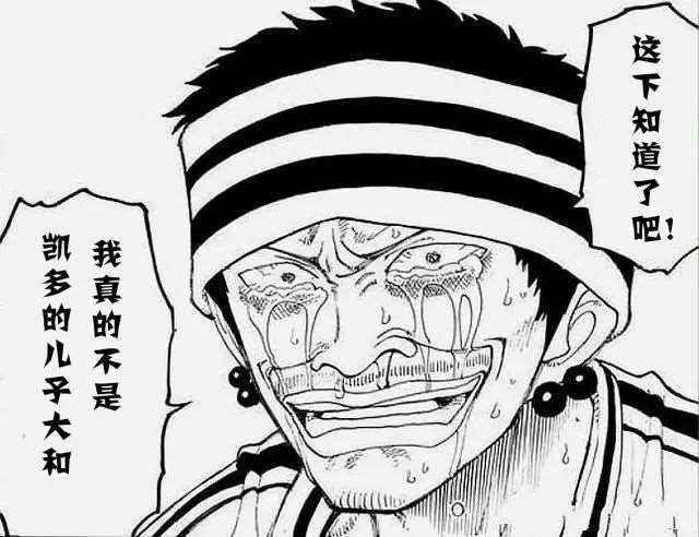 《海贼王》凯多儿子大和的身份 他会是谁呢？